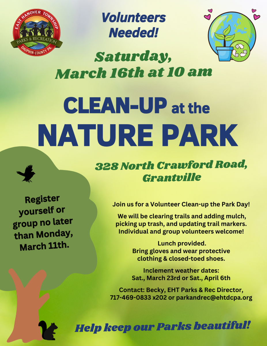 Park Clean-up poster